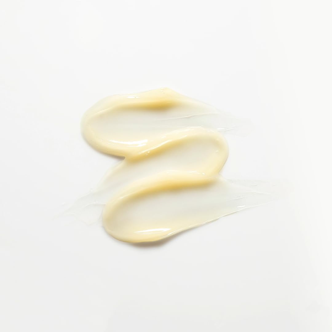 CNP Propolis Eye Cream (1.7 fl.oz / 50ml) - Nourishing Eye Cream with Propolis Extract, Ceramide, Lightweight Cream Texture, Firming Wrinkles, Korean Skin Care