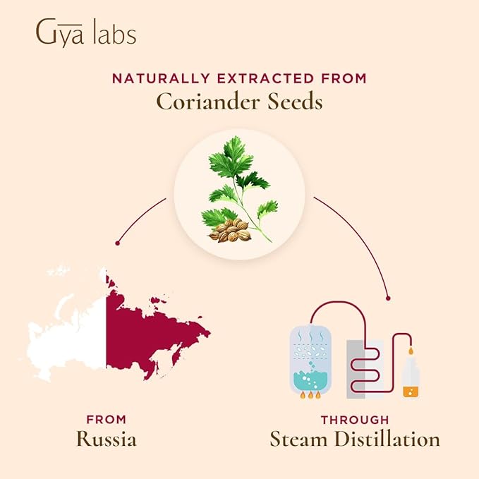 Gya Labs Coriander Essential Oil for Diffuser - 0.34 Fl Oz - 100% Pure Natural Coriander Oil for Skin, Aromatherapy, Skincare Massages & Candles Making - Sweet Spicy Scent DIY