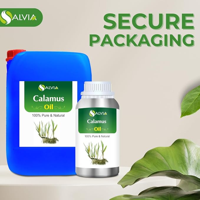 Calamus Oil (Acorus Calamus) Therapeutic Essential Oil by Salvia 100% Natural Uncut Undiluted Pure Cold Pressed Aromatherapy Premium Oil - 500ML/ 16.9fl oz