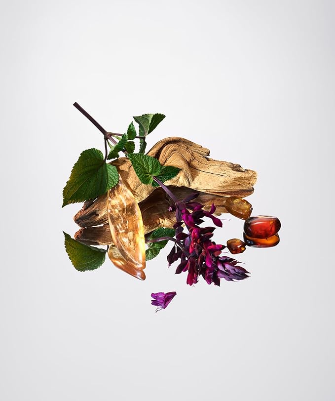 AromaTech Palo Santo & Amber for Aroma Oil Scent Diffusers - 120 Milliliter