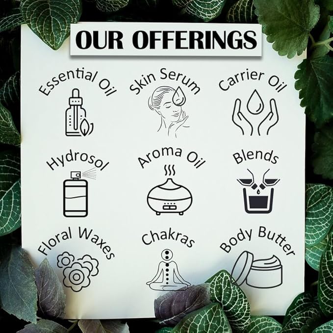 Deve Herbes Pure Myrtle Essential Oil (Myrtus communis) Steam Distilled 30ml (1 oz)