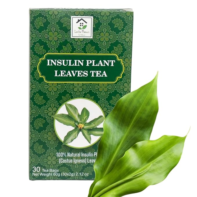 Dried Insulin Plant Leaves Tea 30 x 2g Tea Bags Natural Costus Igneus Herbal Tea - Lanka Flavors Feel Different