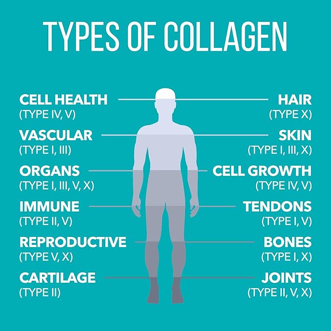 Natures Plus Collagen Peptides - 20 Stick Packets - Hair, Skin, Nail & Joint Health, Immune System Support - Non-GMO, Gluten Free - 20 Servings