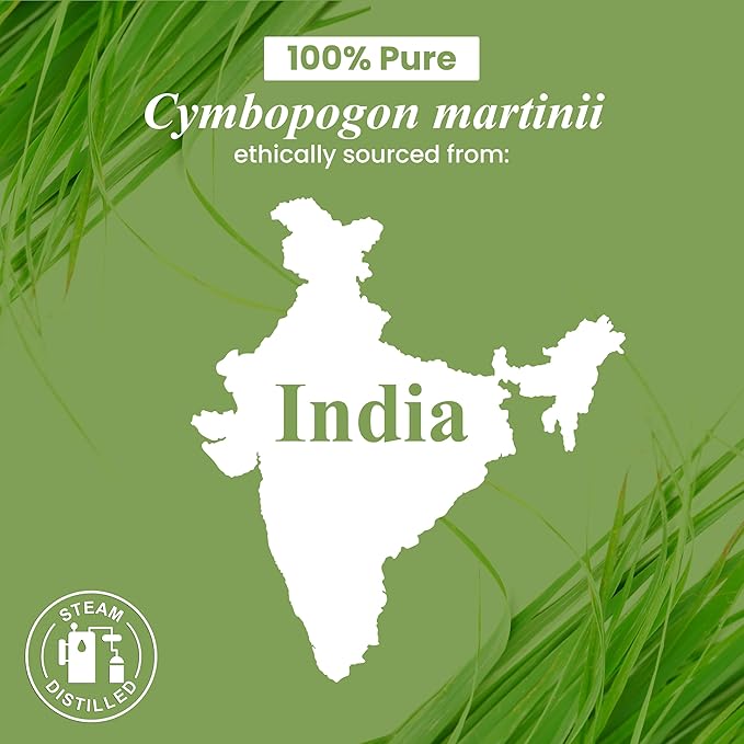 Handcraft Blends Palmarosa Essential Oil - 1 Fl Oz - 100% Pure and Natural - Premium Grade Essential Oil for Diffuser and Aromatherapy