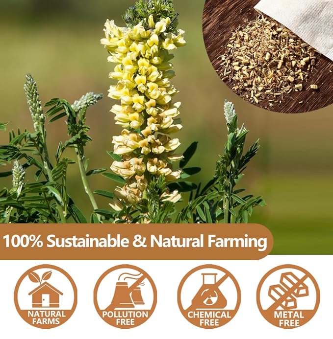 Premium 80 Licorice Root Tea Bags, Made with 100% High Sweetness Wild Licorice Root, No Additives & Caffeine Free.