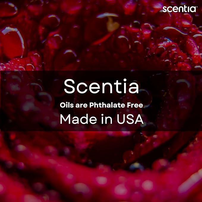 Fragrance Oil Set - Essential Oil Blends for Diffusers, Aromatherapy, Soap & Candle Making, DIY Crafts - Jasmine, Rose, Citrus, Amber, Musk - Valentine's Gift for Her, Couples - 3x20ml (2.03 fl oz)