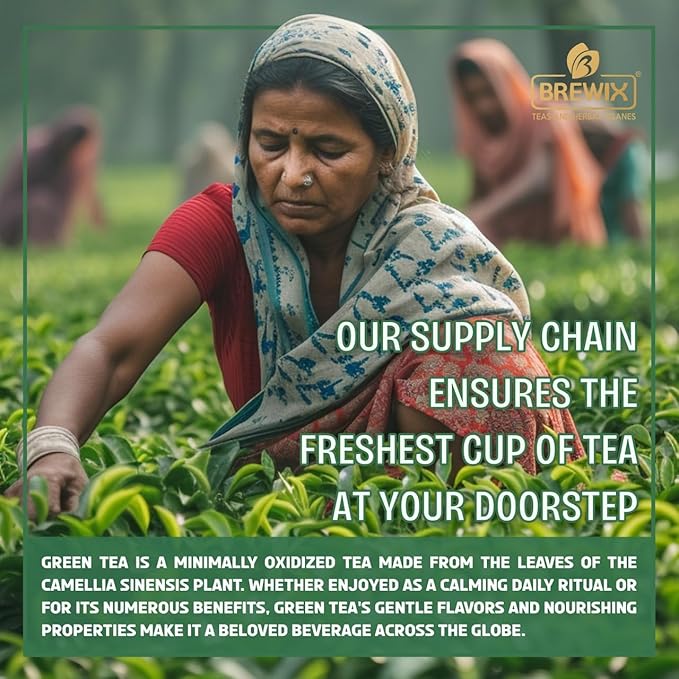 BREWIX, Green Tea Loose Leaf (50+ Cups, 3.53oz/100g) Gluten Free I High Elevation Grown Green Tea Leaves | Pure Single Origin Sourced Direct from India