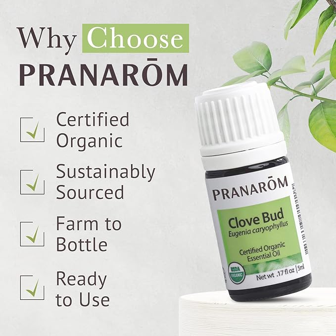 Pranarom USDA Certified Organic Clove Essential Oil (5ml), 100% Pure Undiluted Therapeutic Grade from Sri Lanka & Madagascar for Aromatherapy, Diffuser, Immune Support, DIY Cleaning, Warm Scent