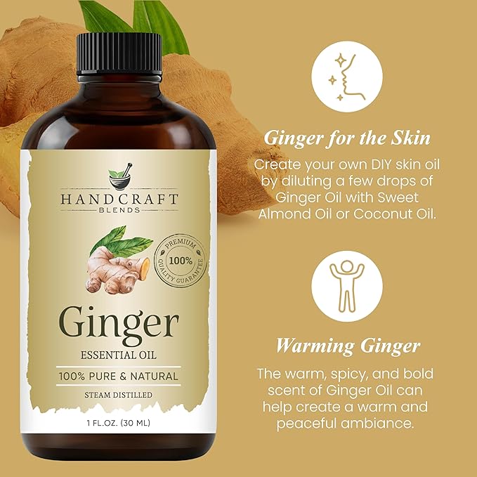 Handcraft Blends Ginger Essential Oil - 1 Fl Oz - 100% Pure and Natural - Premium Grade Essential Oil for Diffuser and Aromatherapy