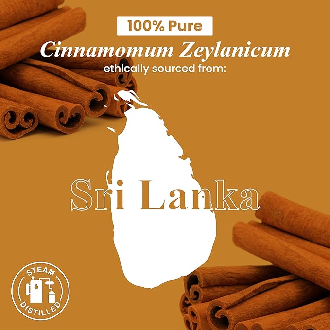 Handcraft Blends Cinnamon Essential Oil - 1 Fl Oz - 100% Pure and Natural - Premium Grade Essential Oil for Diffuser and Aromatherapy