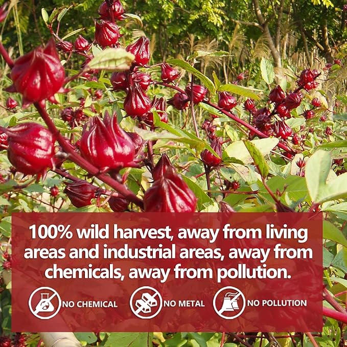 Premium Hibiscus Tea Bags,100 Tea Bags/7.06 Oz,100% Pure Dried Hibiscus Flower,Natural & No Additives,Caffeine Free.