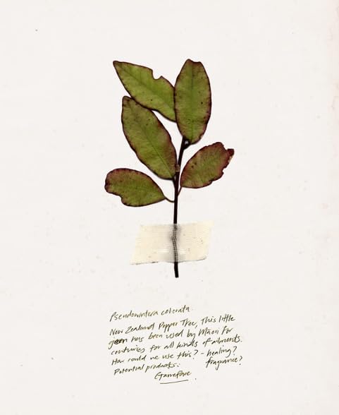 TRIUMPH & DISASTER | Dark Moon Hydrating Cream | Face Moisturizer - Night Cream for Men, 1.7 oz