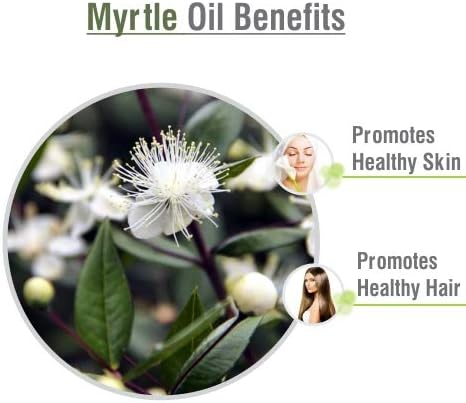 Salvia Myrtle Oil 100% Natural Pure UNDILUTED Uncut Essential Oil (500 ml (16.9 Fl oz))