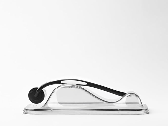 Dermaroller Microneedling Facial Roller for Skin Improvement, 0.2mm Needles for Stretch Marks, Acne & Burn Scars – Painless Dermaroller for Blemished Dry Skin – Made in Germany