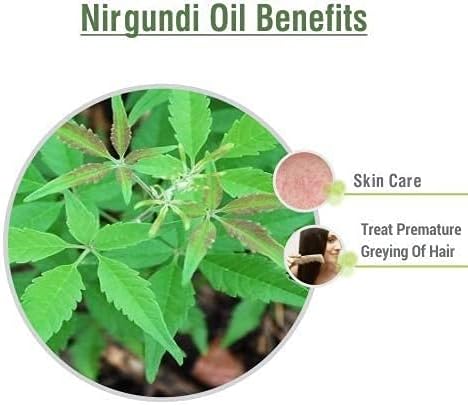 Nirgundi Oil (Vitex negundo) Therapeutic Essential Oil 100% Natural & Pure Undiluted Uncut Cold Pressed Aromatherapy Premium Oil Therapeutic Grade - 50 ML with Dropper