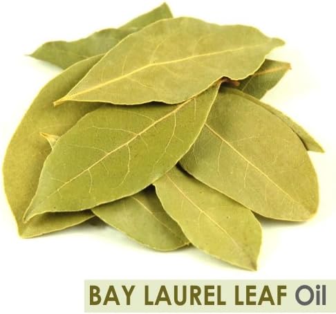 Salvia Bay Laurel Leaf (Laurus Nobilis) Oil - 15ml/0.507Fl Oz