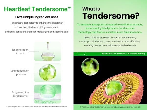 ILSO Heartleaf Tendersome Double Calming Ampoule, Ascorbic Acid, Niacinamide, Soothing serum