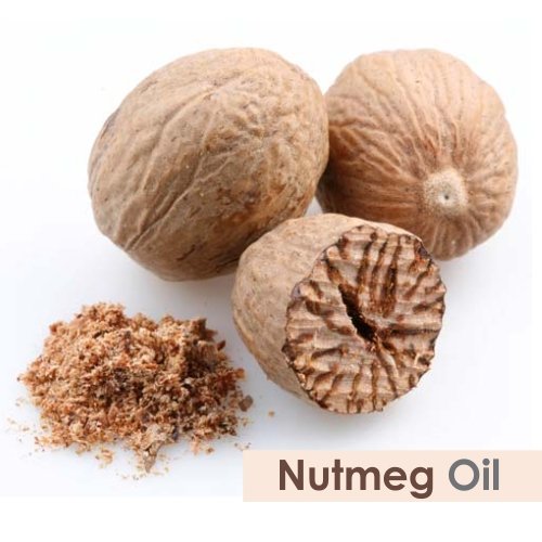 Salvia Bulk Nutmeg (Myristica Fragrans) Oil - 250ml/8.45Fl Oz