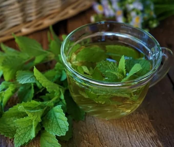 SPEARMINT Organic Herbal Tea Leaves, 8 oz. Pouch, Cut and Sifted, Loose Leaf Herbal tea (Spearmint)