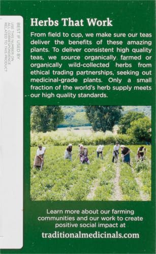 Traditional Medicinals Organic Lemon Balm Herbal Tea, Calming and Supports Digestion, (Pack of 1) - 16 Tea Bags