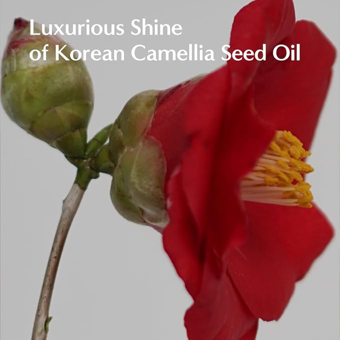 L04-N Keratin Heat Protectant Hair Cream 8.11fl oz | Korean Camellia Oil Leave-In Treatment for Silky & Shiny Hair | Anti-Frizz & Moisturizing Hair Serum