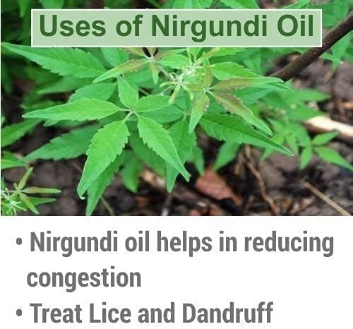Nirgundi Oil (Vitex negundo) Therapeutic Essential Oil 100% Natural & Pure Undiluted Uncut Cold Pressed Aromatherapy Premium Oil Therapeutic Grade - 50 ML with Dropper
