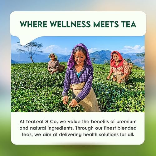 Tealeaf & Co. Sweet Hibiscus Cinnamon Green Tea with Hibiscus, Cinnamon, Stevia & Clove - Organic Green Tea Bags with Fresh Herbs and Spices (Low Caffeine) - 100 Teabags (7.055oz/200gm)