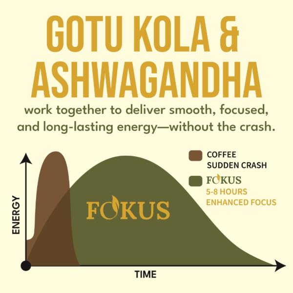 Fokus – Apple Focus & Memory Tea – Organic Brain-Boosting Herbal Blend with Ginkgo Biloba, Gotu Kola, Reishi & Ashwagandha – Crisp Apple Flavor – Caffeine-Free Tea for Mental Clarity, Concentration & Calm Energy – 30 Sachets