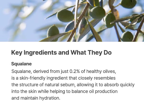 AQUA SQUALANE SERUM 50ml | Soothing, Inner moisture, Claming, Pore care, Sebum control | 1.69Fl Oz