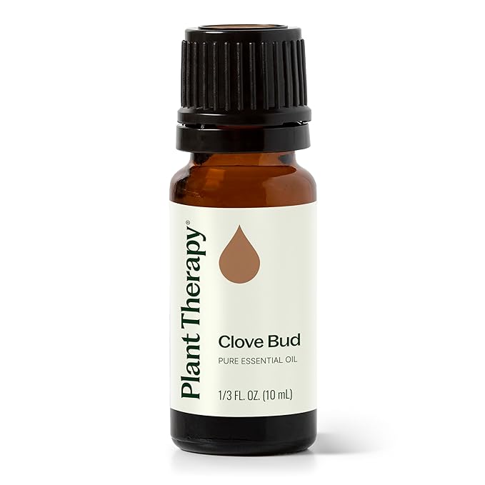 Plant Therapy Clove Bud Essential Oil 100% Pure, Undiluted, Natural Aromatherapy, Therapeutic Grade 10 mL (1/3 oz)