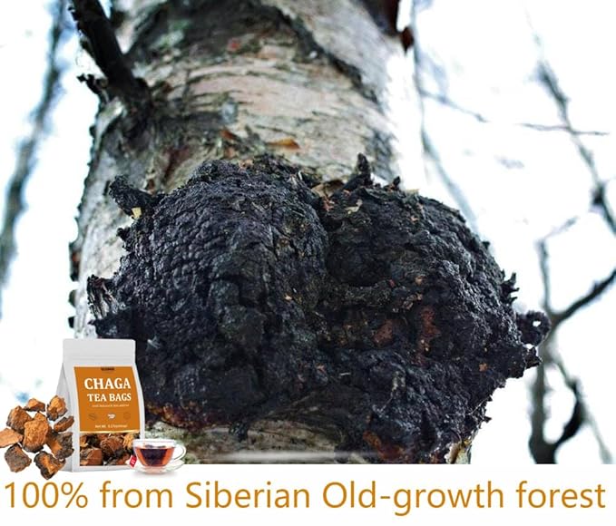 Premium 60 Chaga Tea Bags,100% Pure Siberian Wild Harvest Chaga Mushroom,No Additives,Caffeine Free.