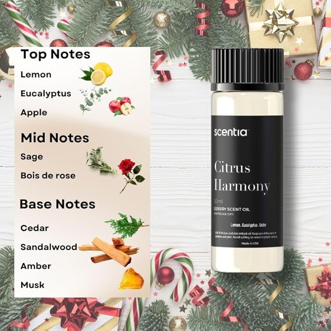 Christmas Fragrance Oil Set, Scentia Winter Fragrance Oils for Diffuser & Candle Making | Pine Frost, Gingerbread Bliss, Citrus Harmony Winter Scented Oils : 3x20ml Pack for Mothers Day Gift