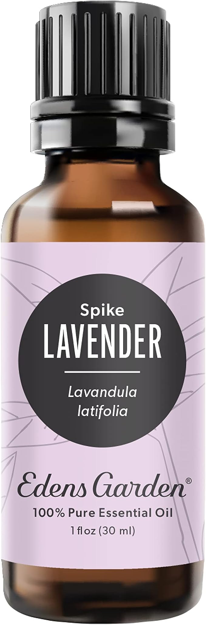 Edens Garden Lavender- Spike Essential Oil- 100% Pure Premium Grade, Undiluted, Natural, Therapeutic, Aromatherapy, The Best for Diffuser, Candle, Laundry, Humidifiers 30 ml (1 fl oz)