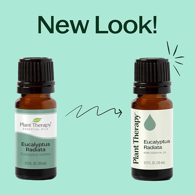 Plant Therapy Eucalyptus Radiata Essential Oil 30 mL (1 oz) 100% Pure, Undiluted, Therapeutic Grade