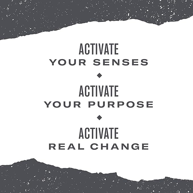 Numi Organic Tea Chocolate Pu-erh, 16 Count (Pack of 6)