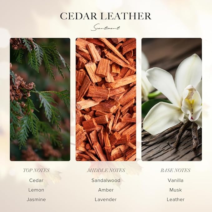 Cedar Leather Fall Collection Diffuser Oils | Aromatherapy Home Fragrance | Luxurious Scent with Lemon, Jasmine Sandalwood, Amber, Lavender, Vanilla, & Musk (50ml)