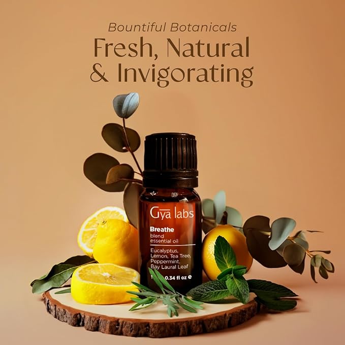 Gya Labs Breathe Essential Oil Blends - 100% Pure Natural Breathe Easy Essential Oils from Eucalyptus, Peppermint and More for Humidifier Cleaner (0.34 Fl Oz)