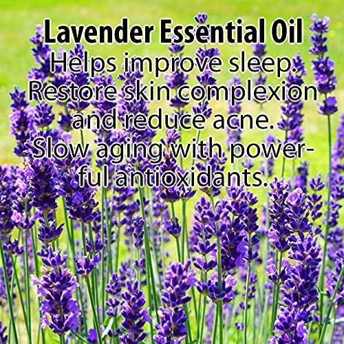 Simply Radiant Beauty Glimmer Goddess Organic Lavender Night Cream Face Moisturizer, Vegan, Great for all Skin Types, 24 hour Hydration, Less Stretch Marks, Natural, 2 oz