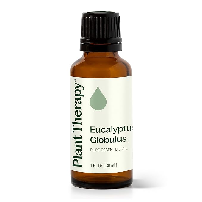 Plant Therapy Eucalyptus Globulus Essential Oil 30 mL (1 oz) for Diffuser, Skin, Hair, Aromatherapy DIYs, and Clear Breathing, 100% Pure, Undiluted, Therapeutic Grade