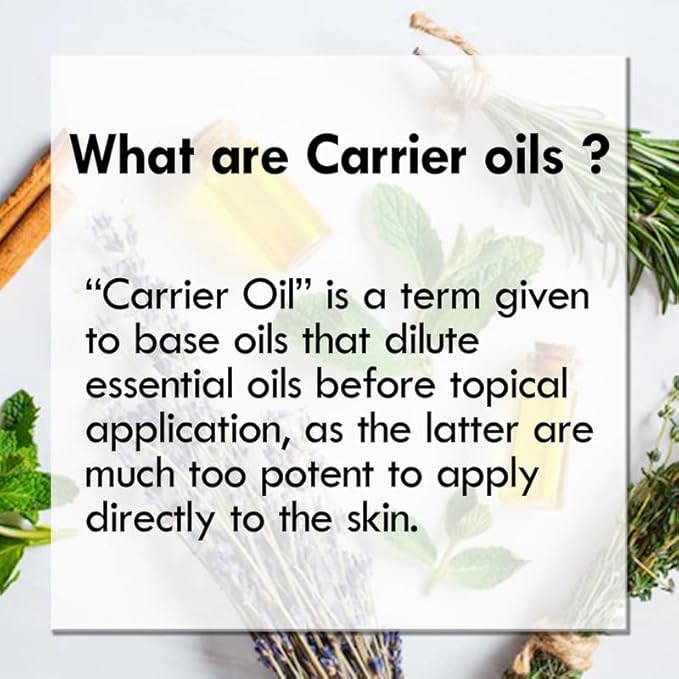 Pure Nirgundi Oil (Vitex negundo linn) 100% Natural Therapeutic Grade (Pack of Five) 100ml X 5(16.9 oz)