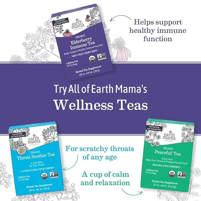 Earth Mama Organic Ginger Nausea™ Tea | Comforts Occasional Nausea + Morning Sickness, 16 Teabags Per Box (3-Pack)