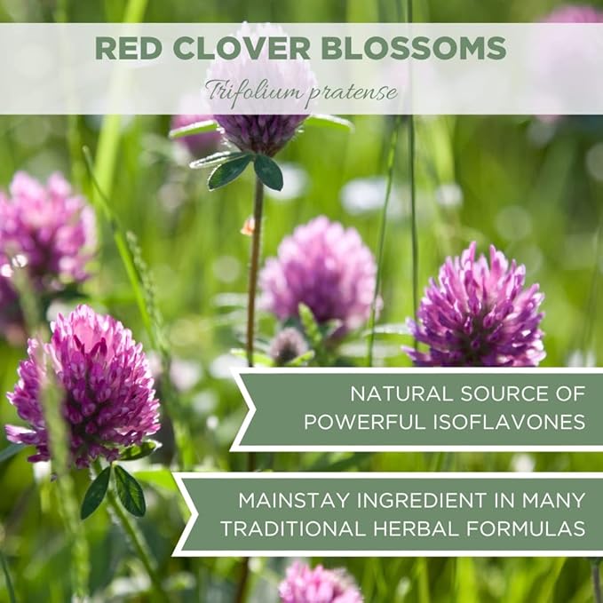 Organic Red Clover Blossoms 8 oz. (227g), USDA Certified Organic Red Clover Blossom Tea, Whole