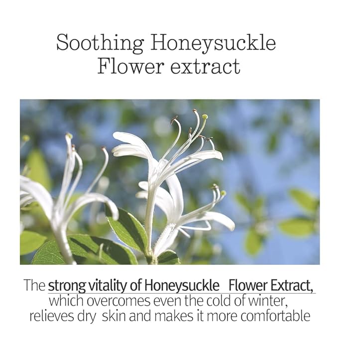 Pyunkang Yul [PKY Sleeping Mask for Creating Moisture Barrier during Night, Ceramide and Hyaluronic Acid for Skin Hydration, Zero Irritation, Korean Skincare (4.05 Fl. Oz, 120ml)