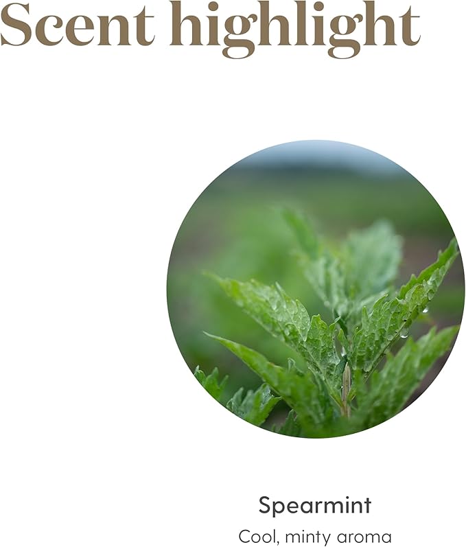 Spearmint Essential Oil 5ml by Young Living - Provides Aromatic Comfort, Digestive and General Wellness Support, Massage Oil, Diffuse it with Citrus Fresh, Refreshing Scent