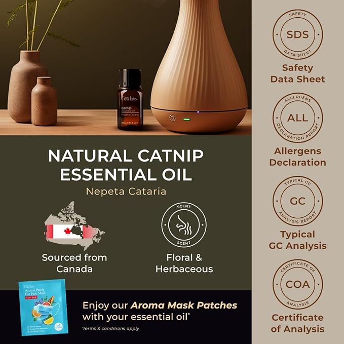Gya Labs Catnip Essential Oil for Skin - 0.34 Fl Oz - 100% Pure Natural Catnip Oil for Diffuser, Candle Making Massage & DIY - Floral Herbaceous Scent
