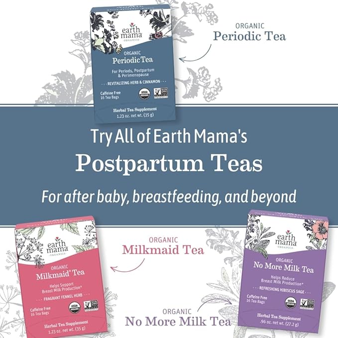 Earth Mama Organic Ginger Nausea™ Tea | Comforts Occasional Nausea + Morning Sickness, 16 Teabags Per Box (6-Pack)