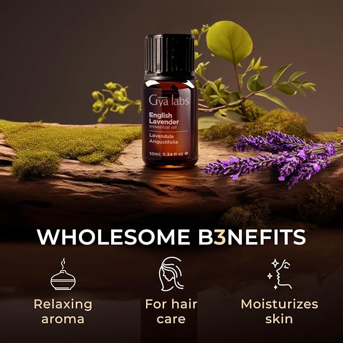 Gya Labs English Lavender Essential Oil for Diffuser - 0.34 Fl Oz - 100% Pure Natural English Lavender Oil for Skin, Hair & Candle Making Floral Herbaceous Scent