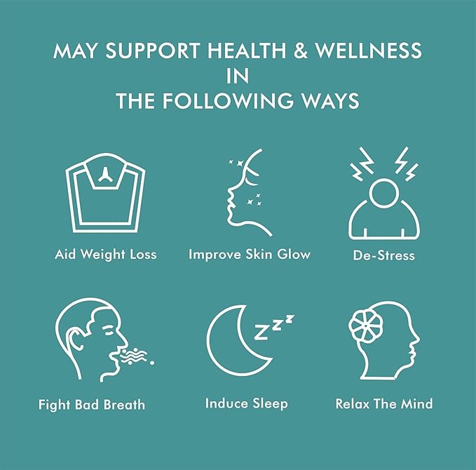 Octavius Mint Digest Digestive Green Tea | Rich in Antioxidants | Refreshing Mint & Green Tea Fusion - 20 Enveloped Pyramid Easy to Use Tea Bags