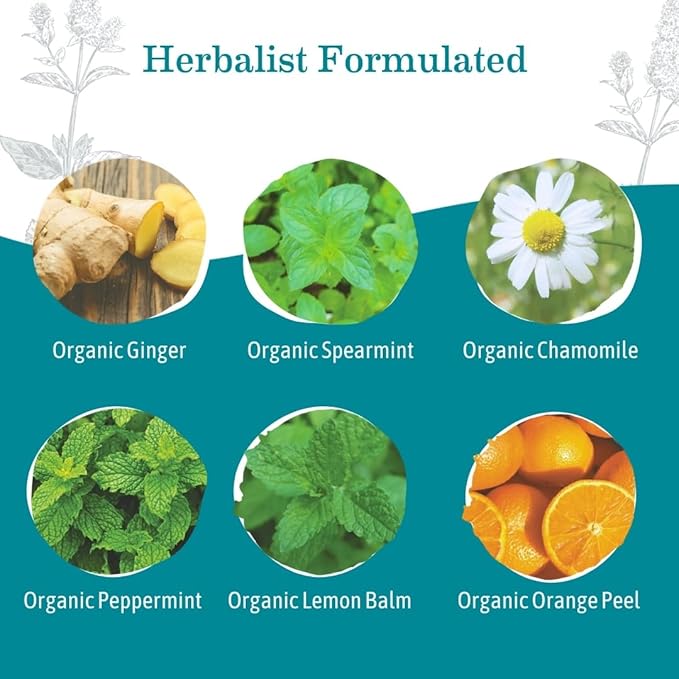 Earth Mama Organic Ginger Nausea™ Tea | Comforts Occasional Nausea + Morning Sickness, 16 Teabags Per Box (3-Pack)