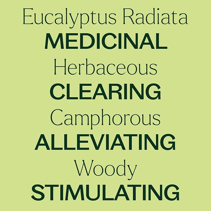 Plant Therapy Eucalyptus Radiata Essential Oil 100 mL (3.3 oz) 100% Pure, Undiluted, Therapeutic Grade